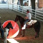 Gymnic MegaBall - Gigantic Multi-Functional Inflatable Ball