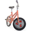 Gyrowheel - Eliminates Training Wheels