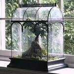 H Potter Glass Terrarium Planter