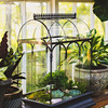 H Potter Glass Terrarium Planter