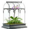 H Potter Glass Terrarium Planter