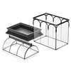 H Potter Glass Terrarium Planter