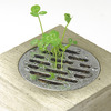 Haisui Water Drain Cover Planter