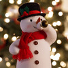 Hallmark Musical Tree-Lighting Snowman