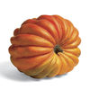 It's The Great Pumpkin!