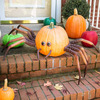 Halloween Spider Pumpkin Appendages
