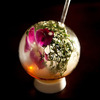 Halm Glasses - Upside-Down Drinking Spheres