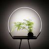 Halo Light Planter