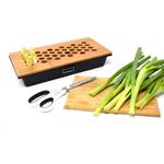 Hamama Green Onion Kit - ReGrow Green Onions in Days With Ease
