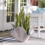 Handkerchief Planter