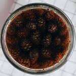 Handmade Pinecone Jam with Edible Pinecones