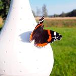 Hanging Butterfly Oasis Feeder