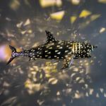 Hanging Geometric Shark Sculpture / Chandelier
