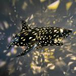 Hanging Geometric Shark Sculpture / Chandelier