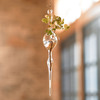 Hanging Glass Vase