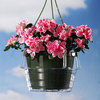 Hanging Planter Drip Catchers