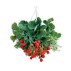 Hanging Strawberry Basket Kit