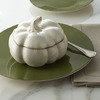 Harvest Pumpkin Bowls