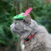 Hats For Cats
