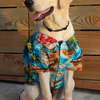Hawaiian Shirts For Dogs
