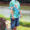 Hawaiian Shirts For Dogs