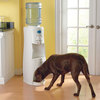 HduO - Water Dispenser for People and Pets