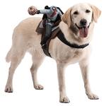 Headless Horseman Dog Riders Pet Costume