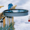 Heated Birdbath