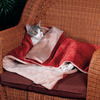 Heated Cat Blanket