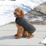 Heated Dog Vest