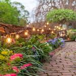 Heavy Duty Iron Shepherd Hooks - Hang String Lights All Around Your Home