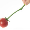 Hetatsuki - Plant Stem Food Picks