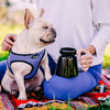 Highwave Hotjo - Wide Base, No Tip Travel Coffee Mug