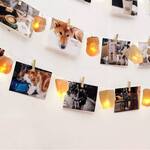 Himalayan Pink Salt String Lights