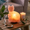 Himalayan Salt Lamp Cat