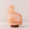 Himalayan Salt Lamp Cat