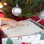 HoHoHoH2o - Automatic Christmas Tree Watering System in Disguise