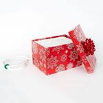 HoHoHoH2o - Automatic Christmas Tree Watering System in Disguise