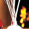 Holiday Scents - Bamboo Reed Diffuser Ornaments