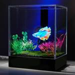 3D Hologram Fish Tank