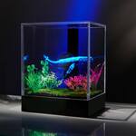 3D Hologram Fish Tank