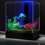 3D Hologram Fish Tank