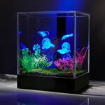 3D Hologram Fish Tank