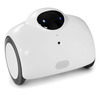 Home Patrolling Robot