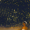 Homestar Spa - 21st Century Bath Planetarium