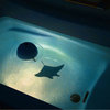 Homestar Spa - 21st Century Bath Planetarium