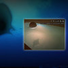Homestar Spa - 21st Century Bath Planetarium