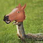 Horse Head Mask Squirrel Feeder