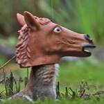 Horse Head Mask Squirrel Feeder