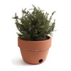 Hot-Pot BBQ - All-in-One Barbecue and Herb Garden